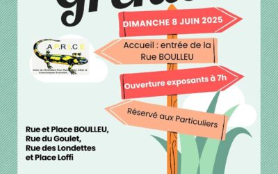VIDE-GRENIER