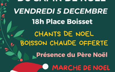 🇫🇷 Commémoration de l’Armistice du 11 Novembre 1918 🇫🇷 Exemplaire