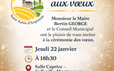 ✨ Invitation aux vœux ✨