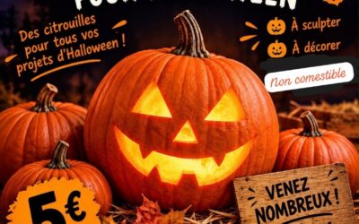 👻 C’est bientôt Halloween,